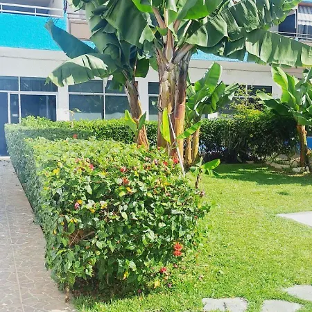 Estudio Playa Jardin * Puerto de la Cruz (Tenerife)