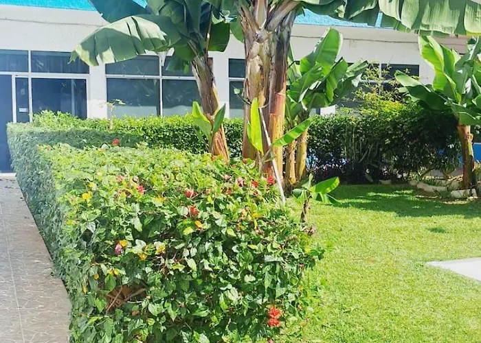 Estudio Playa Jardín * Puerto de la Cruz (Tenerife)