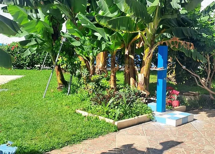 Estudio Playa Jardín